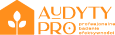 Profesjonalne badanie efektywności Logo