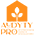Profesjonalne badanie efektywności Logo